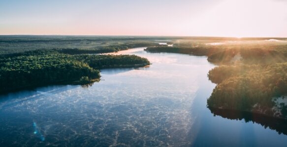COP30: Conheça os Marcos Históricos na Linha do Tempo das Conferências do Clima